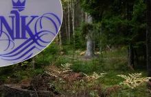 NIK krytykuje programy Lasów Państwowych. Miały odwrócić uwagę