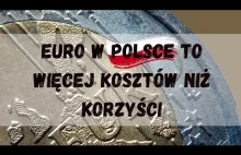 Euro w Polsce to więcej kosztów niż korzyści