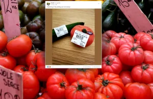 Pomidor i ogórek na wagę złota. Kosmiczne ceny warzyw w marketach!