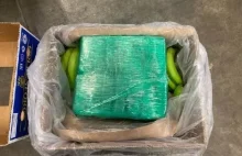 Prawie 8 ton kokainy w ciężarówce z bananami, kierowcą był Polak