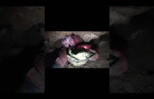 Jaskinia w Krakowie | ZAKRZÓWEK 3