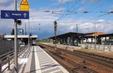 Karlsruhe. 35-letni gapowicz z Północnej Afryki napadł na konduktorkę w pociągu.