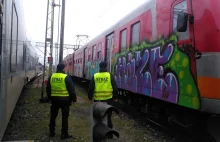 Grafficiarz zdewastował pociąg. 16-latek ujęty po pościgu