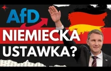 NA ŻYWO: AfD - kolejna ustawka służb czy partia buntu?