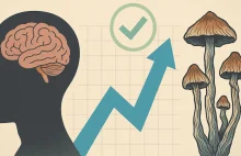 Terapia psylocybiną wiąże się z redukcją depresji trwającą co najmniej 5 lat