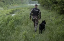 Litwa legalizuje pushbacki. Organizacje humanitarne są oburzone