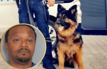 Mężczyzna pogryzł psa policyjnego. Trafił do aresztu