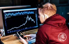 Polscy inwestorzy ograniczają inwestycje w USA, ale nadal ufają dolarowi