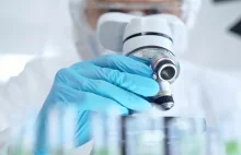 Tego jeszcze nie było. Polacy odkryli robaki z dwiema głowami