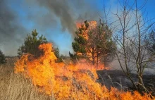 Szaleńczy wyścig? Wypadek na S7 w miejscowości Gózd. Zderzenie toyoty i hyundaia