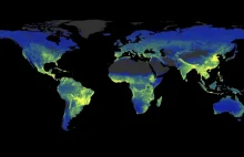 Podziemna sieć życia odkryta. Mapa grzybów zmienia wiedzę naukową