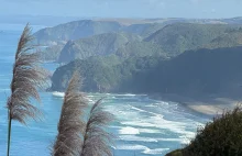 Nowa Zelandia | Podróż dookoła świata - daily vlog | Piha, Waitomo, Three Sister
