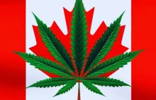 Jak legalizacja marihuany w Kanadzie wpływa na rynek międzynarodowy?