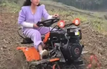 Kultywator - terminator