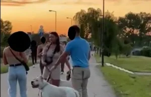Policja BEZSKUTECZNIE poszukuje właścicielki psa, który pogryzł mężczyznę