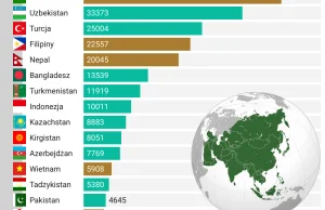 231 tysięcy imigrantów z Azji przyjechało do Polski w ciągu jednego roku.