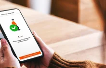 Allegro wprowadza szybki cashback. Rusza współpraca z PKO BP