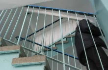 Ciało 76-latki przez kilka tygodni leżało w mieszkaniu. Syn nikogo nie wezwał.