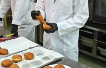 Szczecin/ Paprypączki z uniwersytetu technologicznego