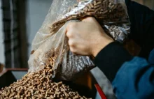 Drastyczny wzrost cen pelletu! W Polsce jest drożej niż w Niemczech