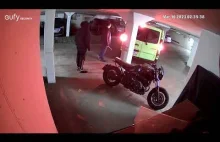 Trzech inżynierów z Polski, kradnie motocykl BMW r nineT z niemieckiego parkingu