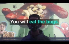 You Will Eat Zi Bugs