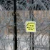 NGOsy oburzone planem wprowadzenia "strefy buforowej" na granicy z Białorusią