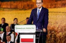 Ukraińskie zboże to był wierzchołek góry lodowej. Dramat polskich sadowników...