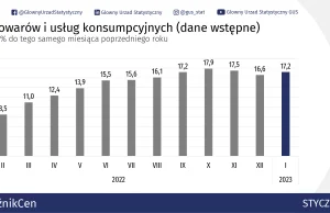 Inflacja w Polsce: w styczniu 2023 r. - 17,2% r/r i 2,4% m/m