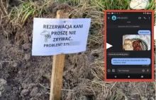 Zarezerwował sobie kanie w lesie. Zobaczył je na cudzym talerzu