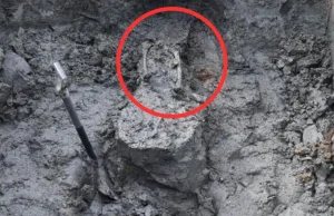 Odnaleziono ludzkie szczątki