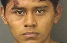 20-letni nielegalny imigrant dopuścił się gwałtu na 11-latce