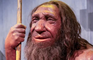 Ostatni neandertalczyk był Polakiem? To odkrycie zmienia historię ewolucji