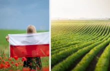 Polskie rolnictwo rozwija się najszybciej w Europie