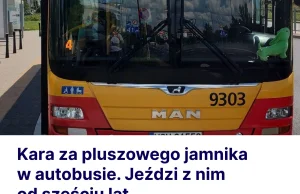 Kara za pluszowego jamnika w autobusie. Jeździ z nim od sześciu lat
