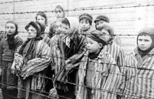 Dziennikarka brytyjskiego The Mirror" użyła fałszywego określenia obozu koncentr