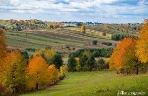 Jesienne Roztocze - piękna natura i miejsca