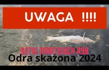 Zaczęło się2024 UWAGA Dowody na tuszowanie Oglądaj uważnie !