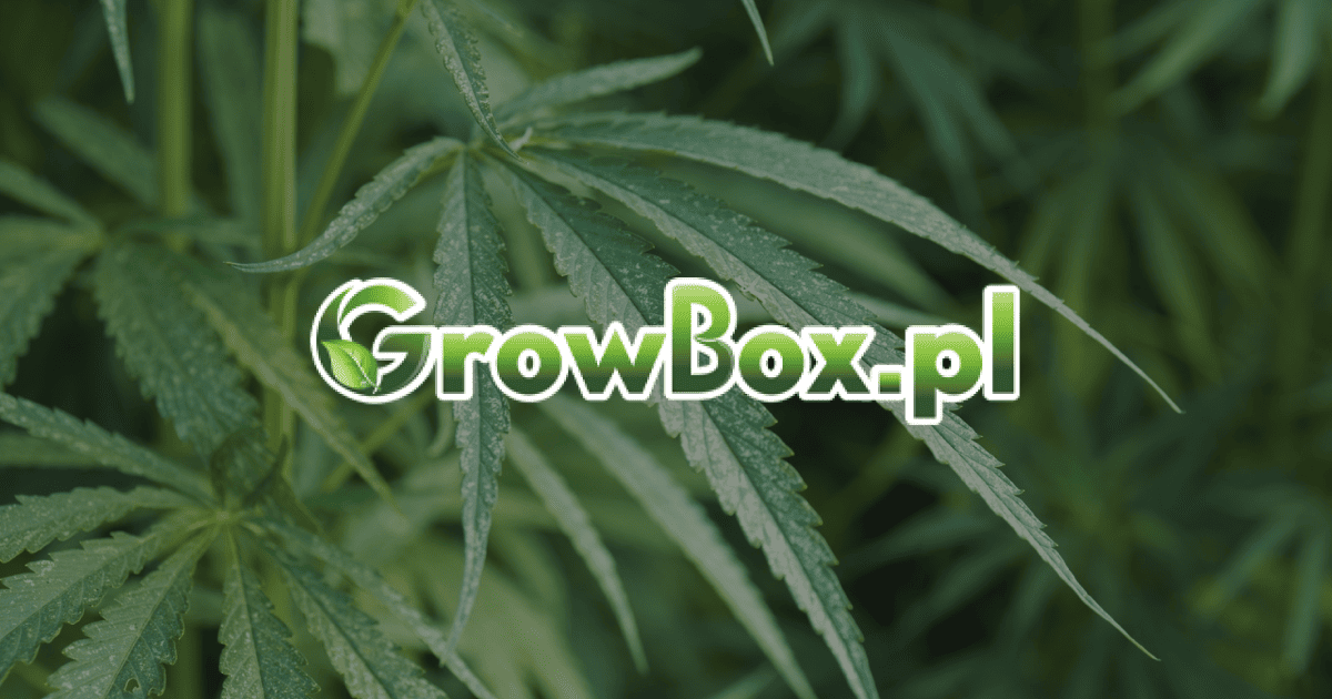 Stymulatory wzrostu i kwitnienia - skuteczne uprawy