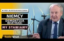 Prof. Mielczarski: W Polsce mamy za dużo wiatraków. Dają za dużo energii i desta