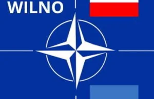 Reforma NATO - przyjęcie Ukrainy to konieczność? [uwaga długi tekst]