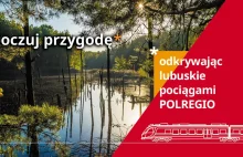 Poczuj przygodę odkrywając lubuskie z POLREGIO