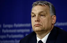 Viktor Orbán przeciwko przyjęciu Ukrainy do Unii Europejskiej? Ma wątpliwości