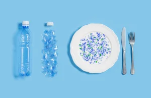 Mikroplastik można wykryć w mózgu już dwie godziny po jego spożyciu