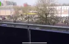 Poskramianie nożownika