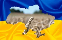 Ukrainiec z firmy oligarchów z politowaniem o polskim rolnictwie