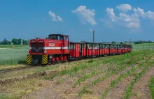 Żnińska Kolej Wąskotorowa i rozkładowe pociągi turystyczne