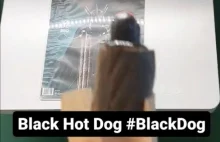 Black Hot Dog #BlackDog.