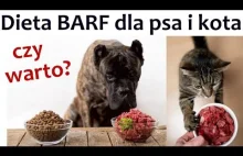 Dieta BARF dla psa i kota - czy ma poparci w nauce?