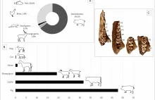 Wyjątkowy wczesnośredniowieczny kompleks osadniczy na pograniczu państwa Piastów